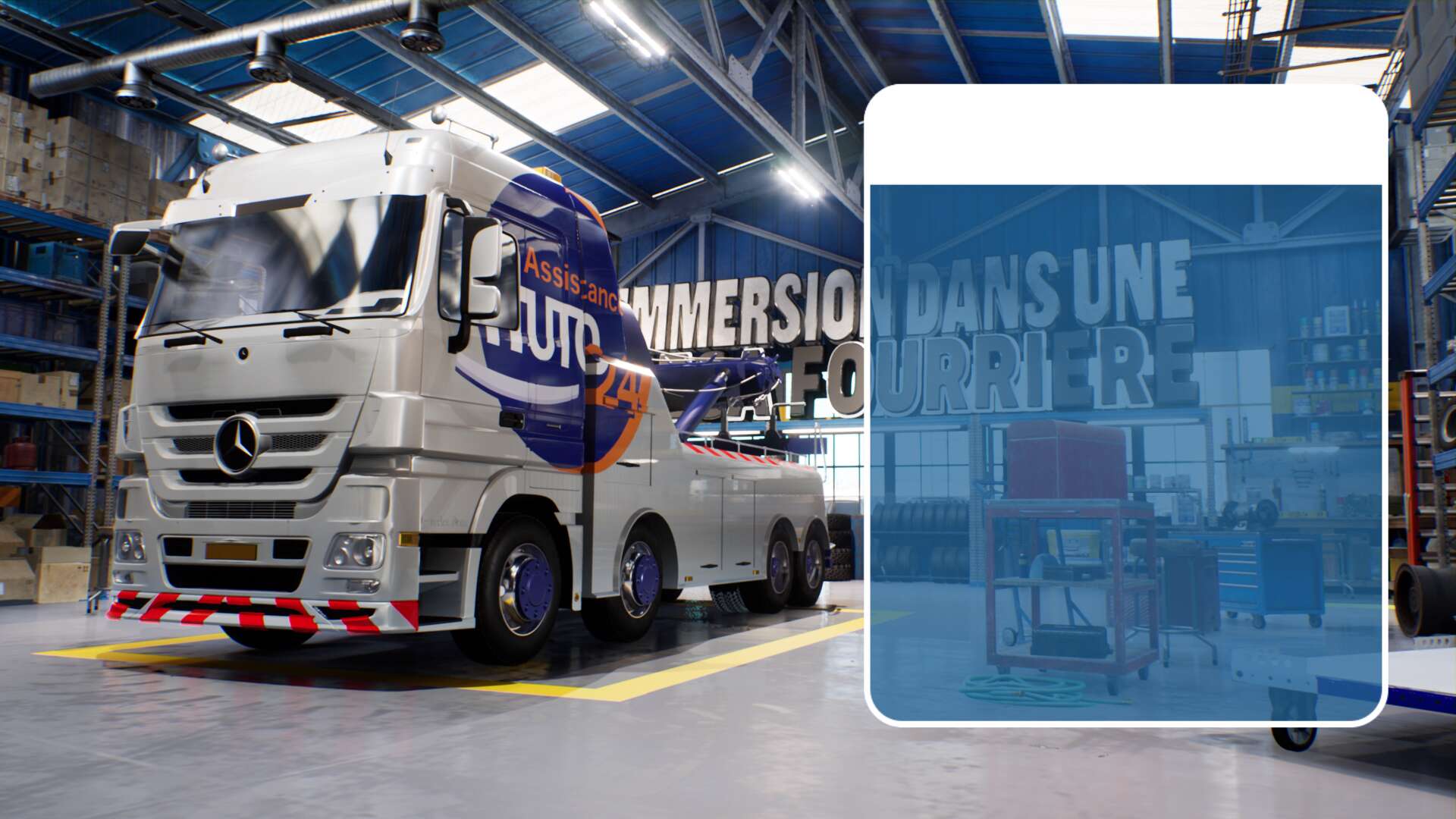 Immersion dans une méga fourrière 