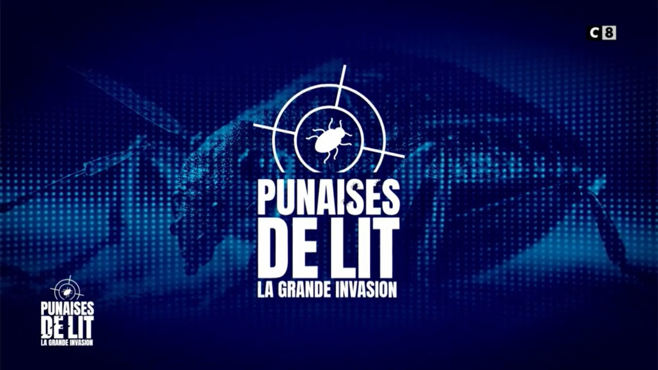 Punaises de Lit - La grande Invasion 